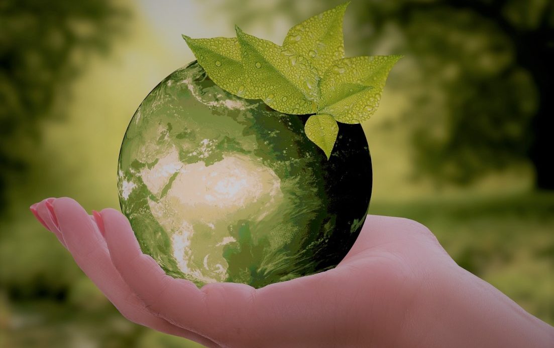 Nuevas tecnologías al servicio de la red ambiental