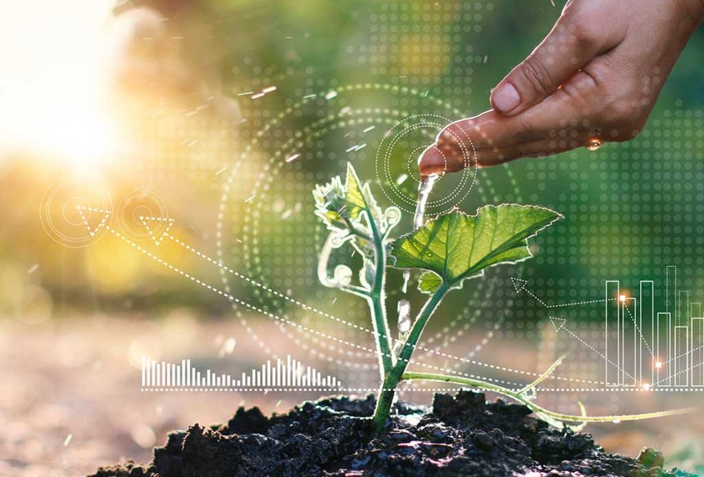 Comprométete con acciones ecológicas para reducir la huella ambiental de tu ciudad