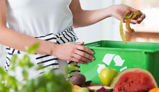 Descubre 5 formas de reciclaje de basura orgánica