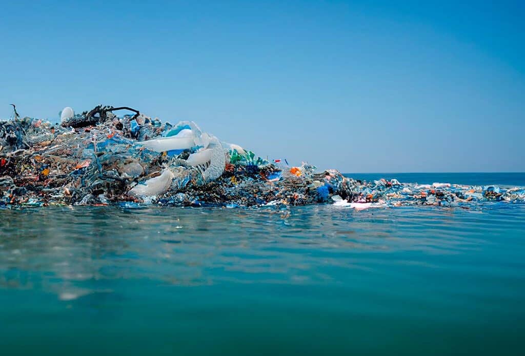 5 Consecuencias de no separar la basura