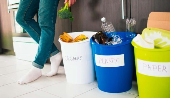 ¿Cuáles son los distintos tipos de reciclaje? ¡Conócelos!