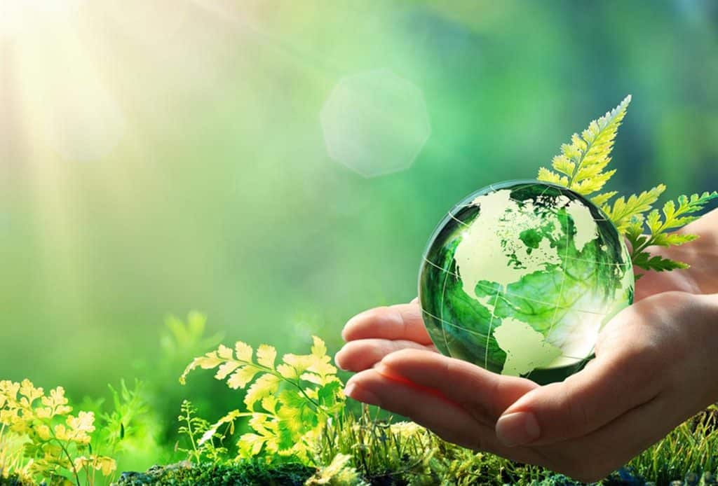 Cómo la gestión inadecuada de los residuos afecta a la conservación del medio ambiente