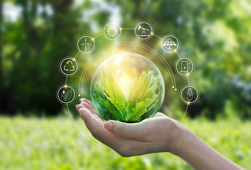 ¿Cómo podemos cuidar el medio ambiente?