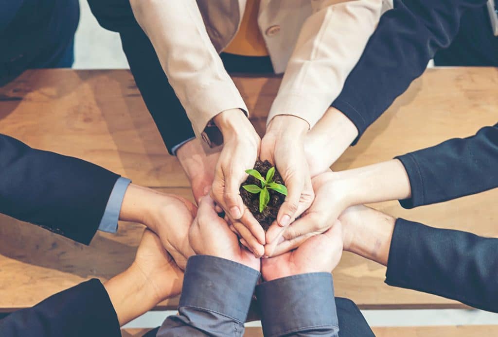 Principios de la responsabilidad social empresarial para reducir la huella ambiental