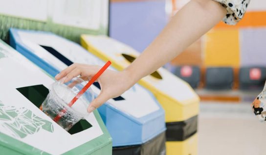 Mitos y verdades del reciclaje que debes de conocer