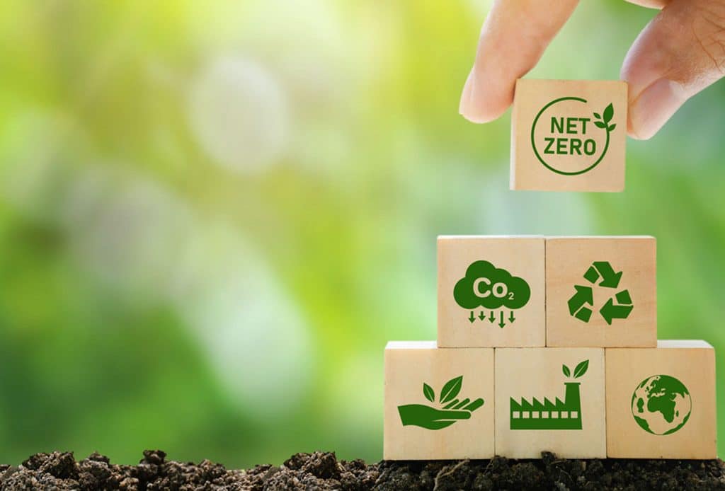 Acciones individuales y colectivas para alcanzar el objetivo de la ecología