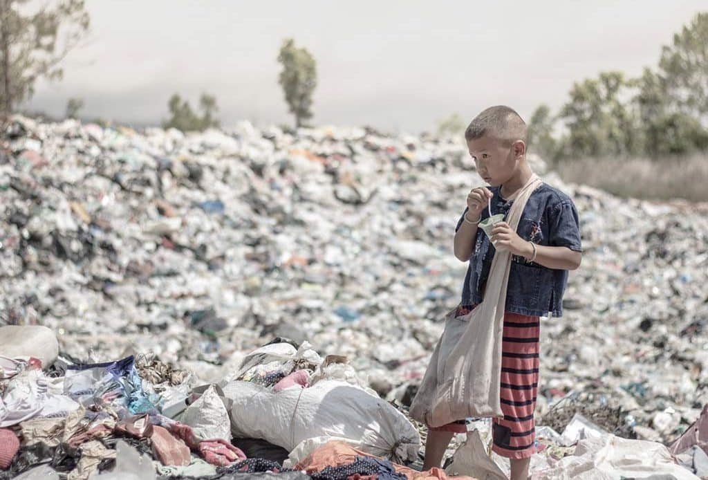 De desechos a desafíos: Explorando los problemas que ocasiona la basura