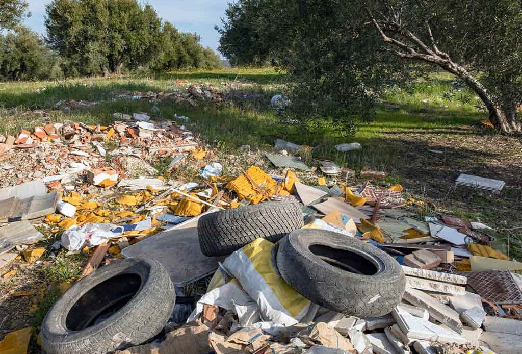 ¿Cuáles son los problemas que ocasiona la basura y posibles soluciones?