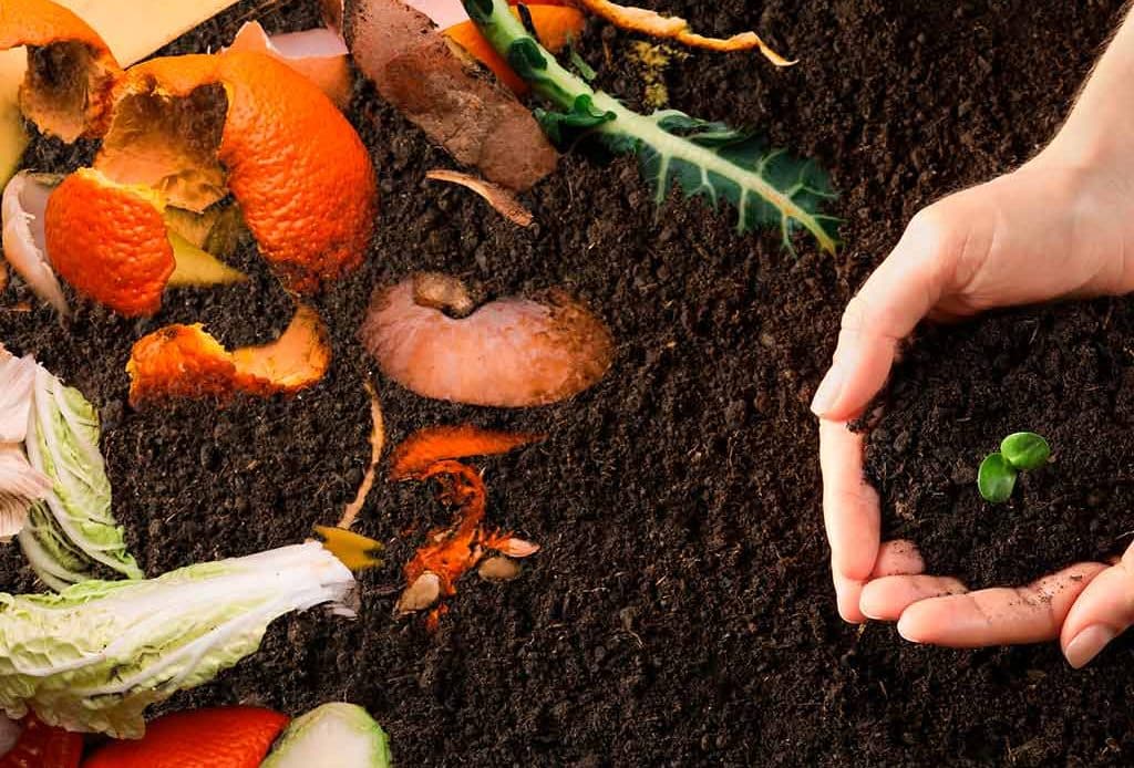 ¿Para qué sirve la composta y cuáles son sus beneficios?