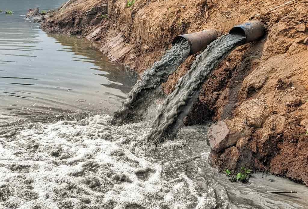 Aprende qué son los problemas medioambientales y cómo combatirlos